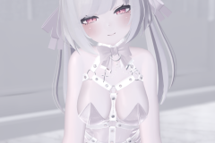 VRChat_2025-04-02_14-14-28.891_2160x3840_wrld_beceefff-0b61-441a-bd2a-86ff1d611921